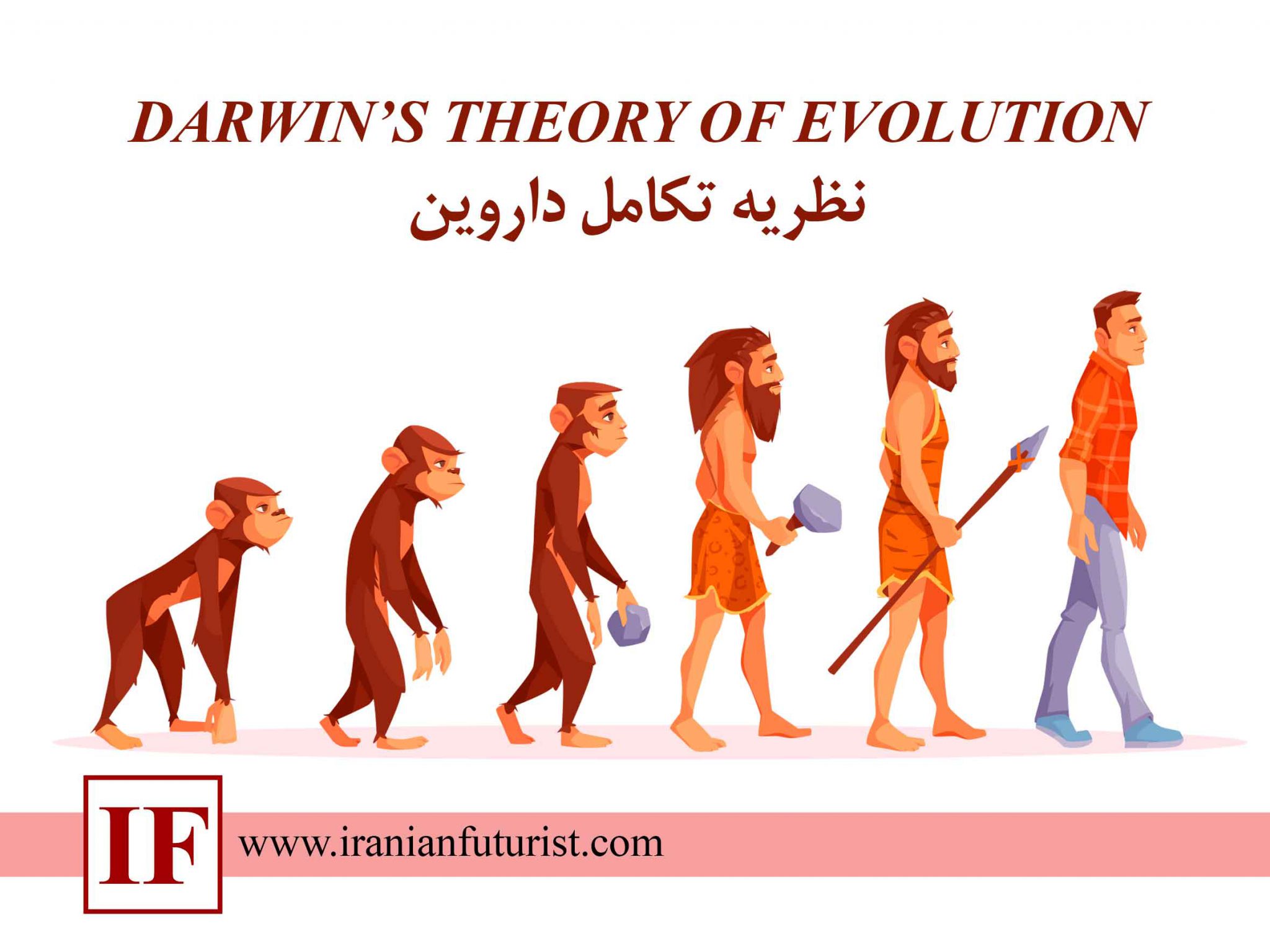 Люди бывают прямые и. Эволюция человека хомо сапиенс. Эволюция Дарвин хомо. Эволюция человека от обезьяны. От обезьяны к человеку.