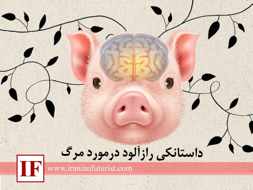 داستانکی رازآلود درمورد مرگ
