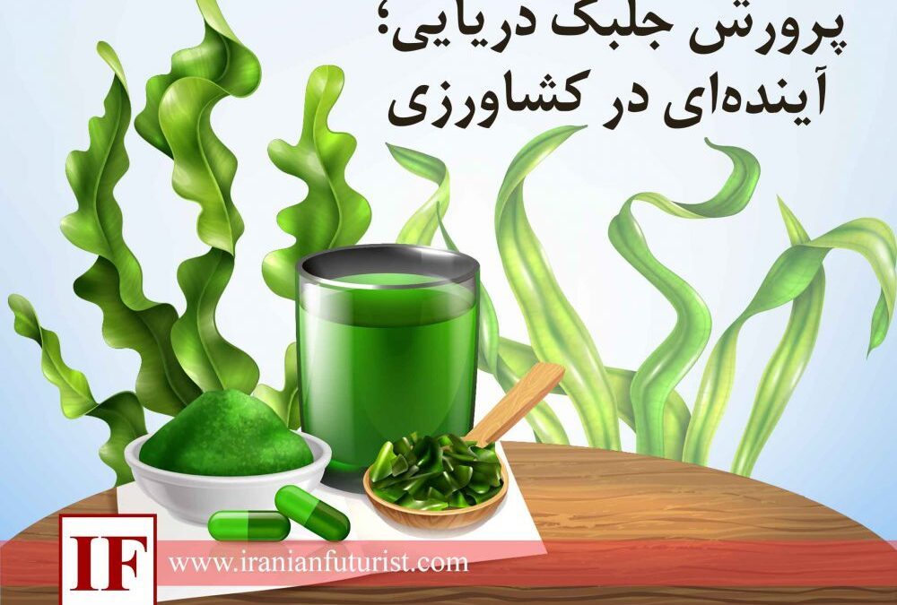 پرورش جلبک دریایی؛ آینده‌ای در کشاورزی