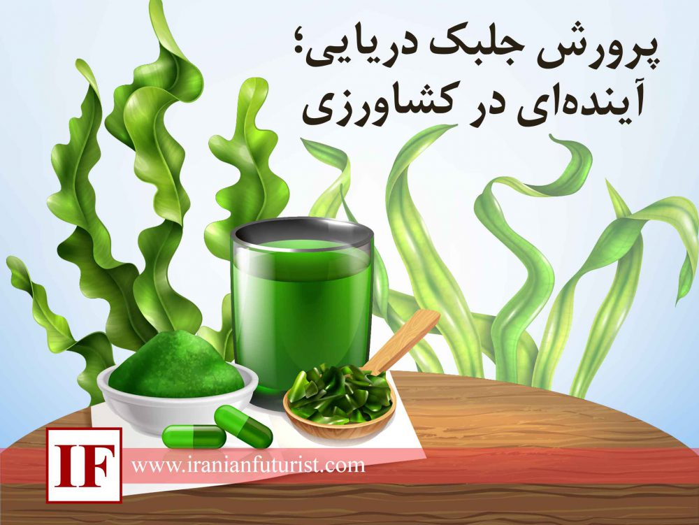 پرورش جلبک دریایی ؛ آینده‌ای در کشاورزی