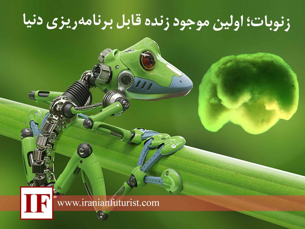 زنوبات؛ اولین موجود زنده قابل برنامه‌ریزی دنیا